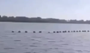 pantaiseranganpagar serangan